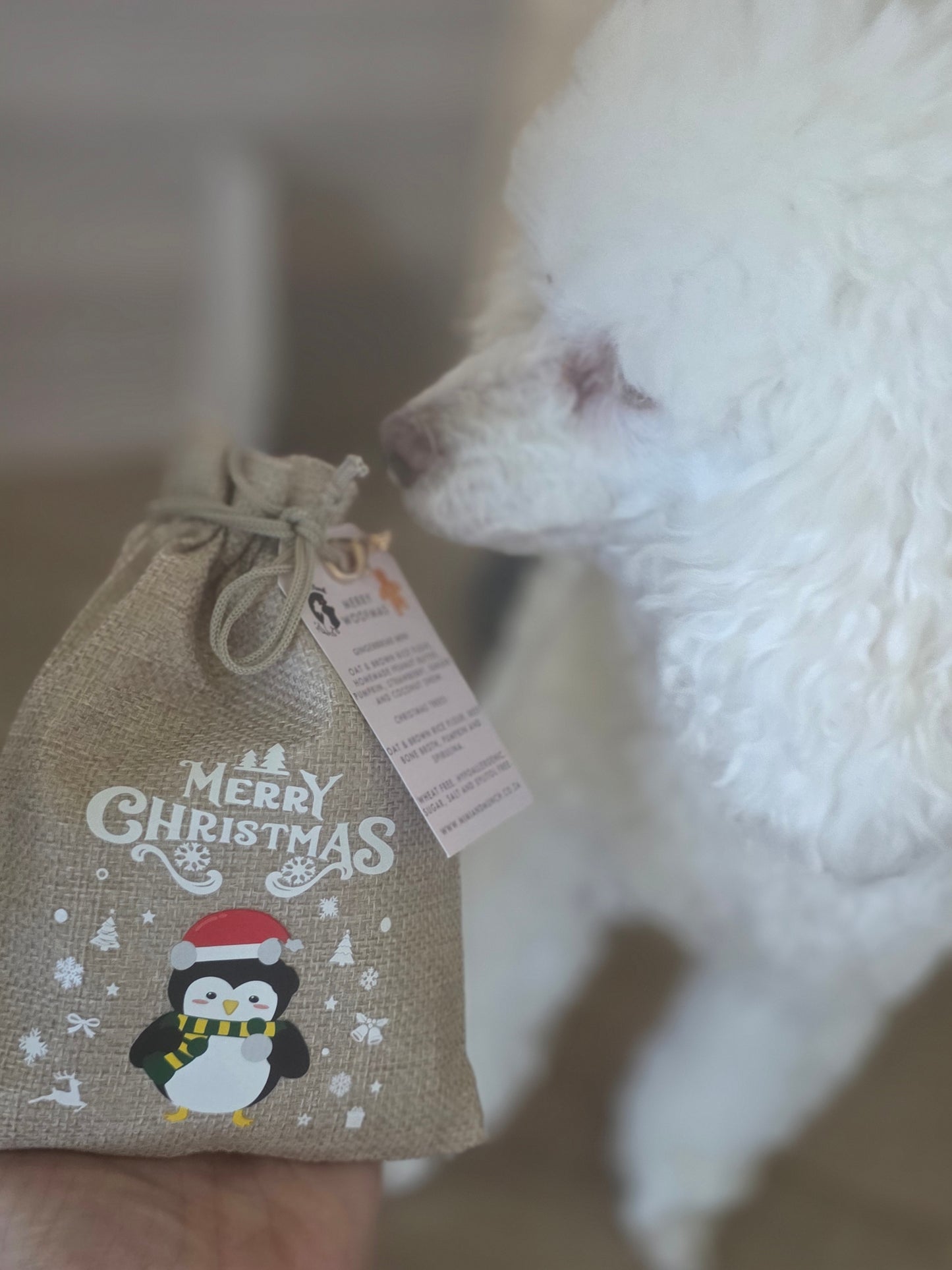 The Cutest Gingerbread Bag