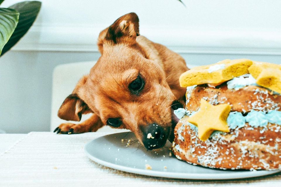 Shooting Star: 2 Tier Round Cakes 5" by 3"