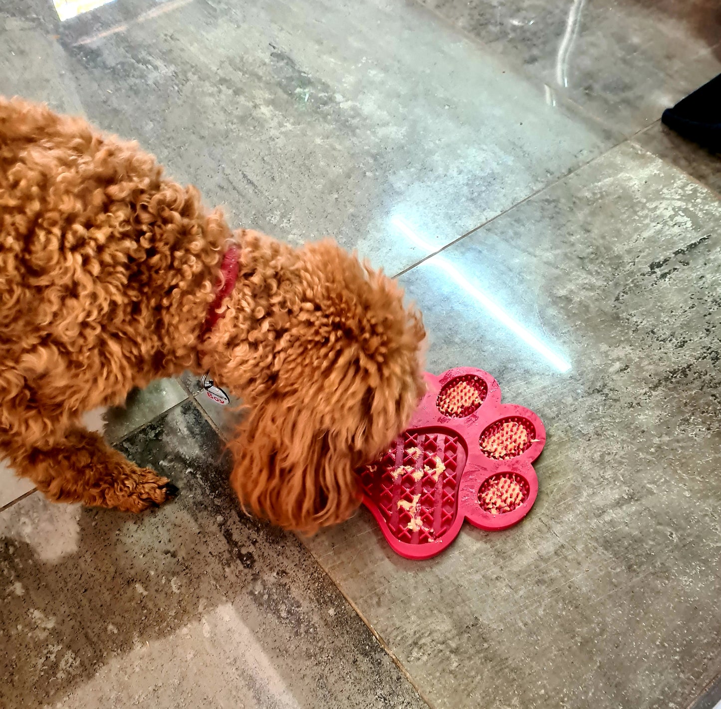 Enrichment Paw LickMat With a FREE Mini Spatula