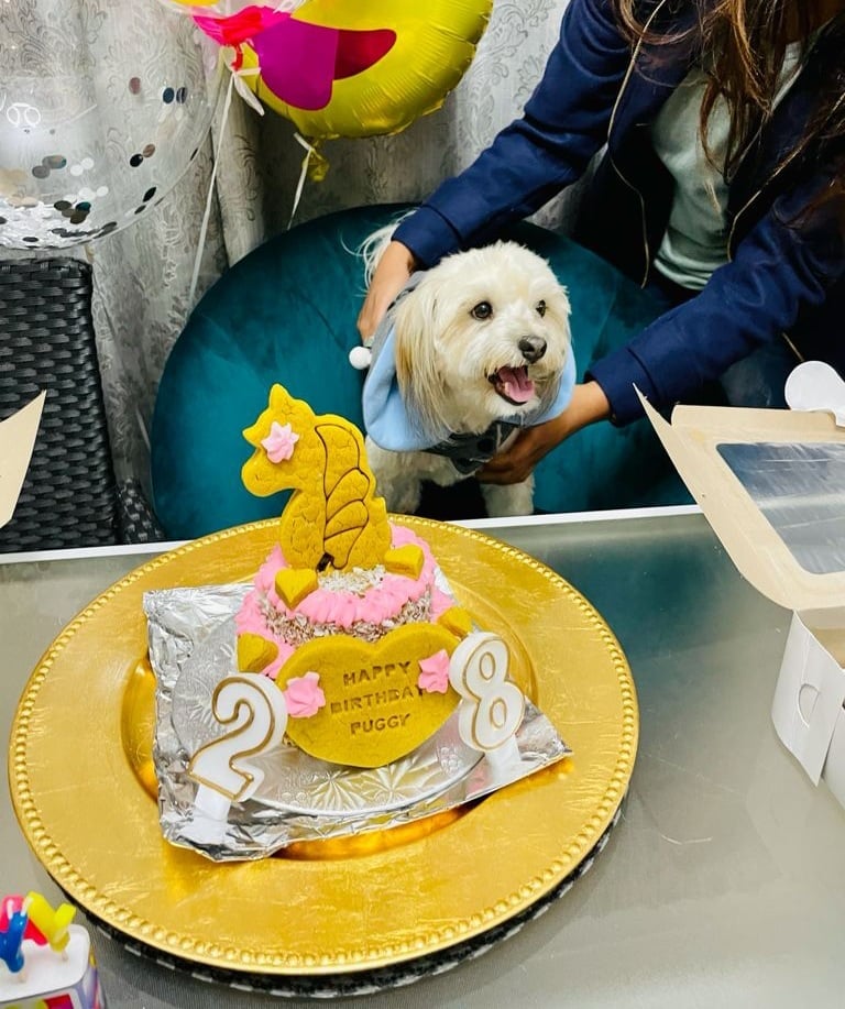 Unicorn Woofday Cake: 2 Tier Round Cakes 5" by 3"