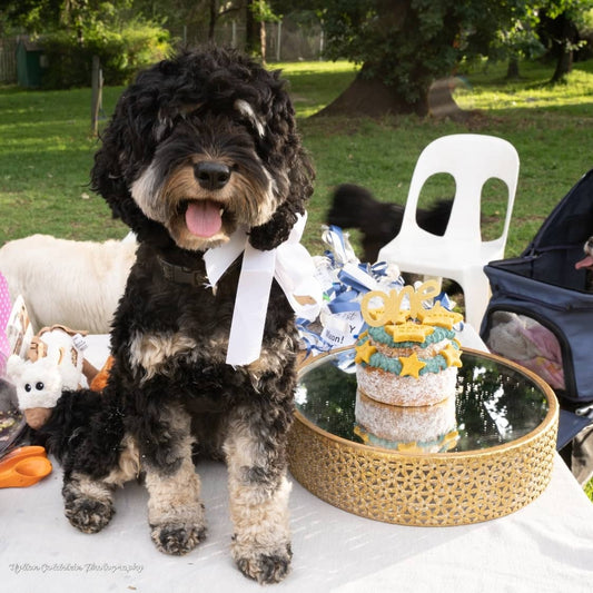 Shooting Star: 2 Tier Round Cakes 5" by 3"