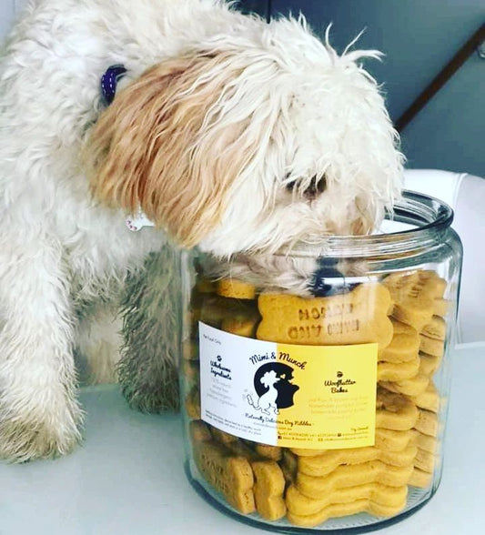 Personalised Doggie Biscuit Bags