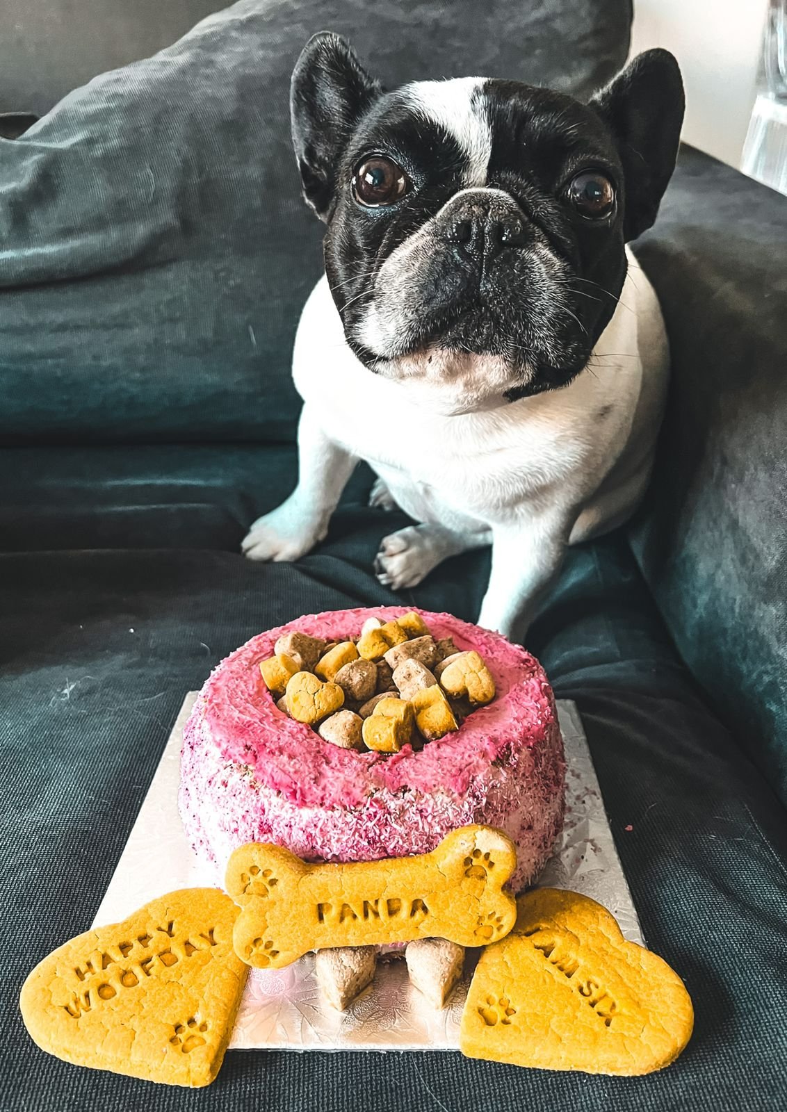 The 'Soenchie' Dog Bowl Cake