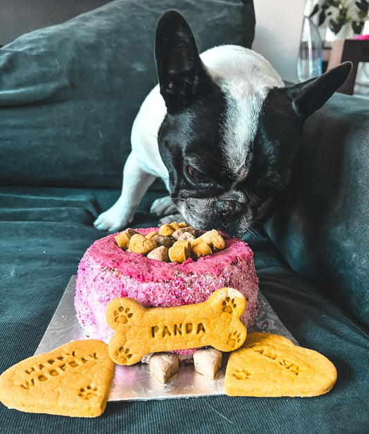 The 'Soenchie' Dog Bowl Cake