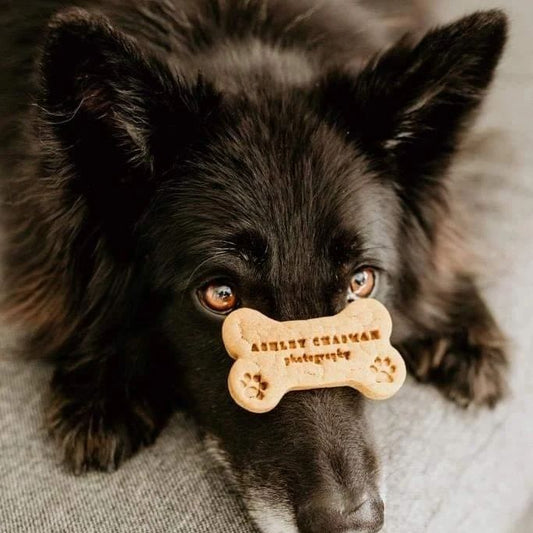 Personalised Doggie Biscuit Single