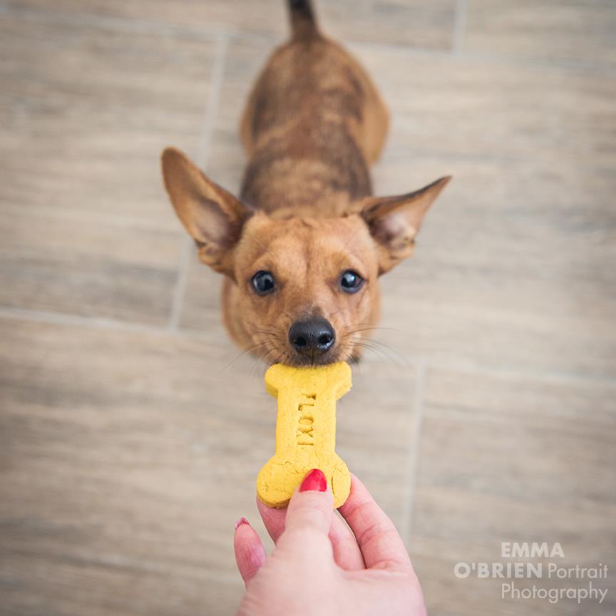 Give the Gift of Treats!