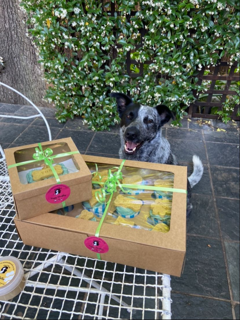 Cutie Pie! 6cm Bone Shaped Cake