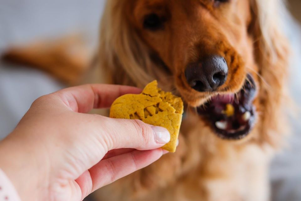 Personalised Doggie Biscuit Single