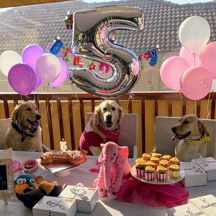 Fully Personalised Pupcakes