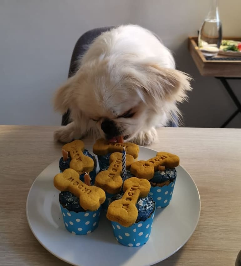 Fully Personalised Pupcakes