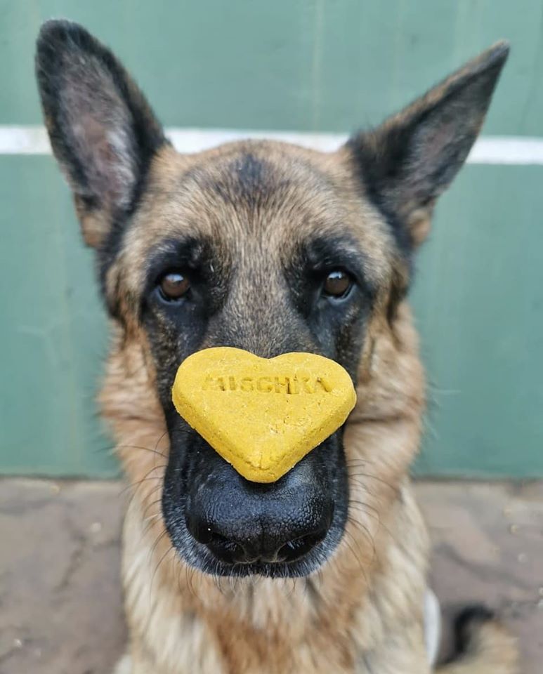 Personalised Doggie Biscuit Single