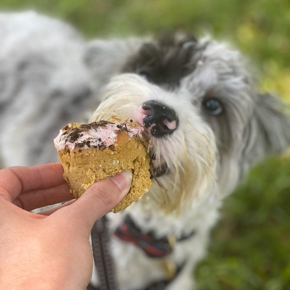 Fully Personalised Pupcakes