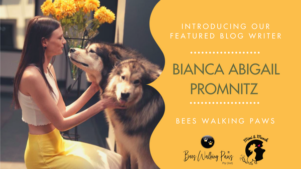 Introducing Bianca Abigail Promnitz- The African Dog Whisperer!