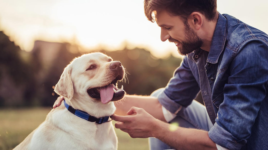 A Dogs Verbal Communication