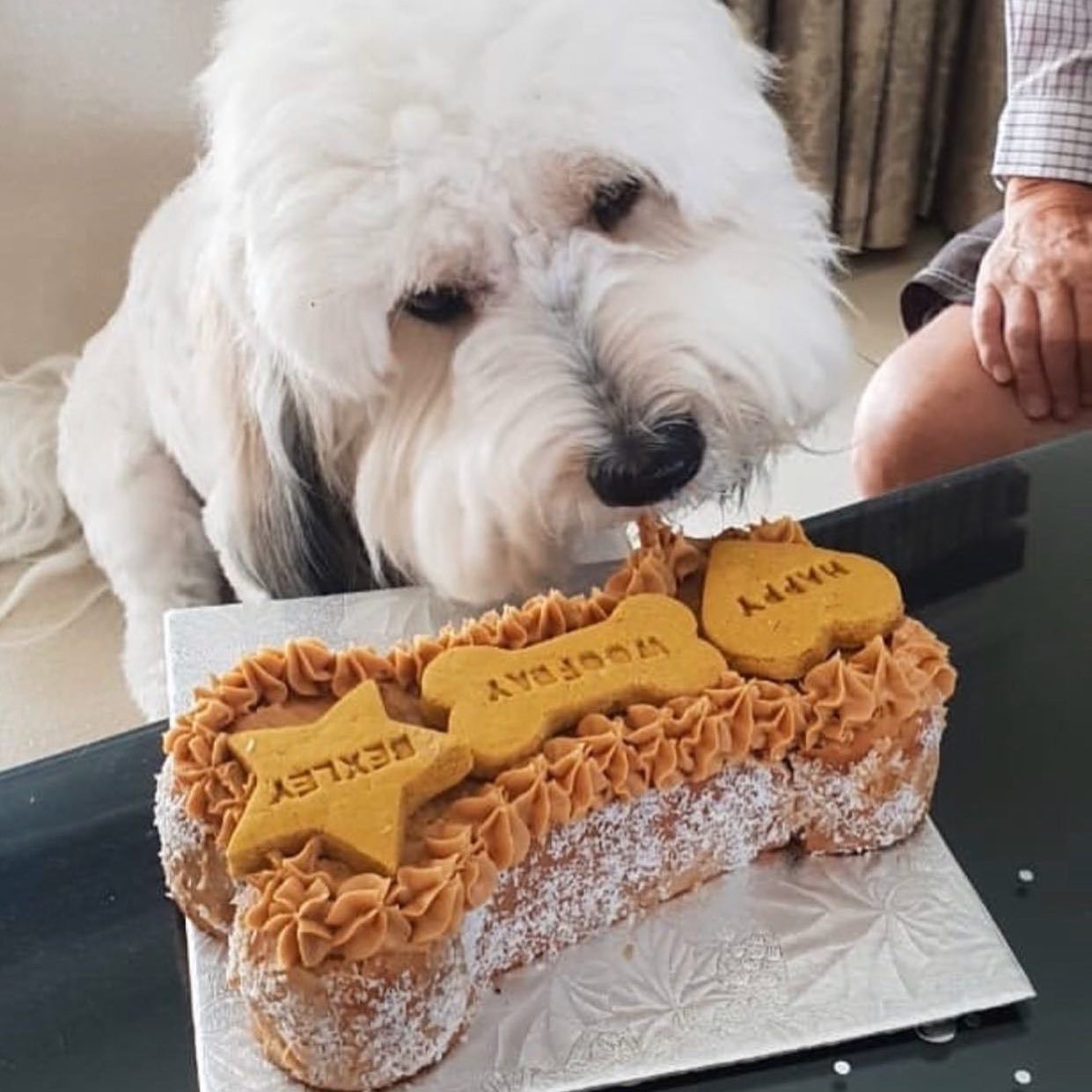 Woofday Cakes