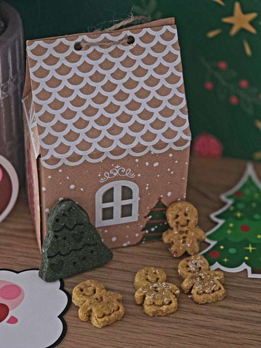 The Cutest Gingerbread House