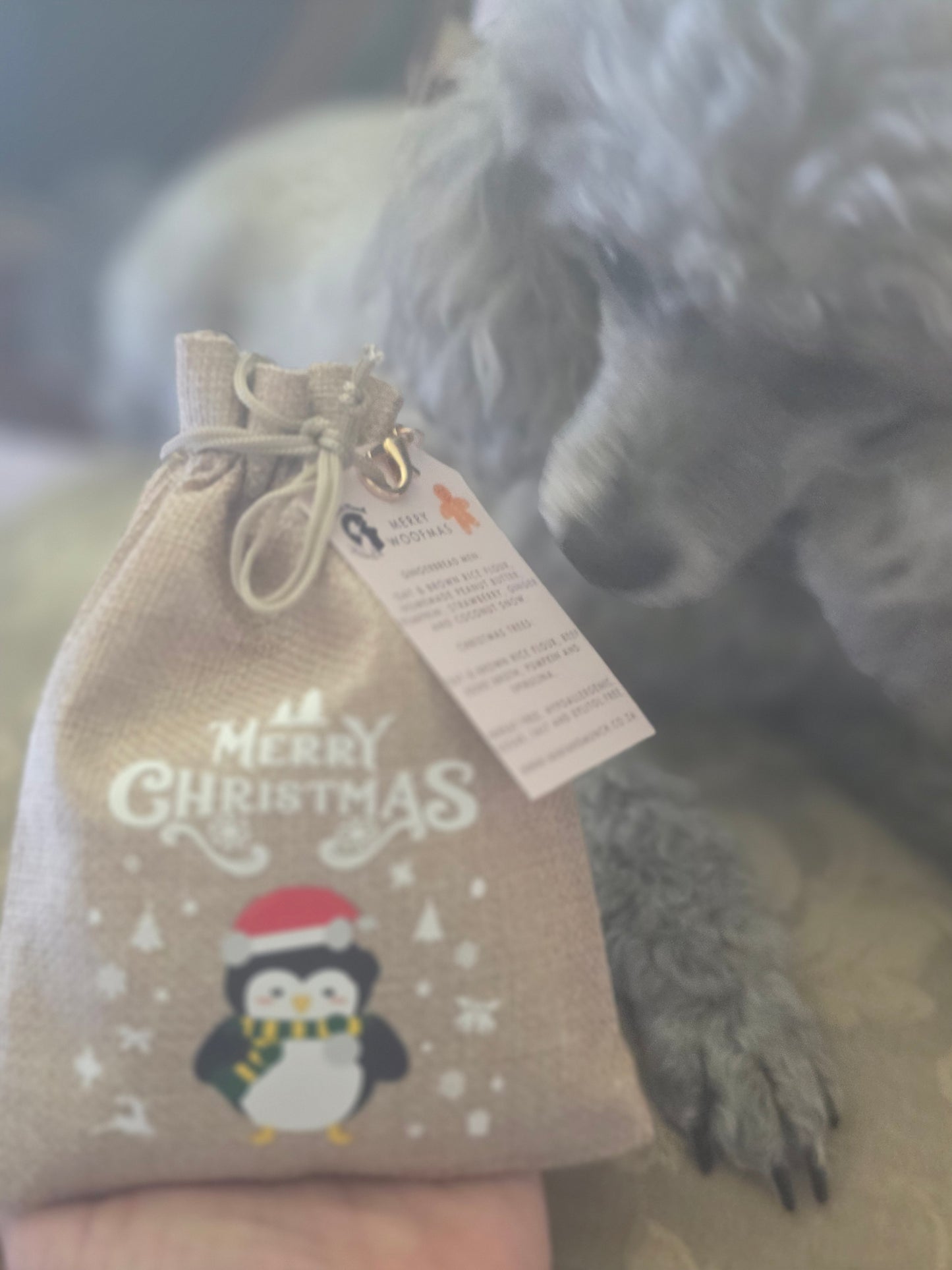 The Cutest Gingerbread Bag