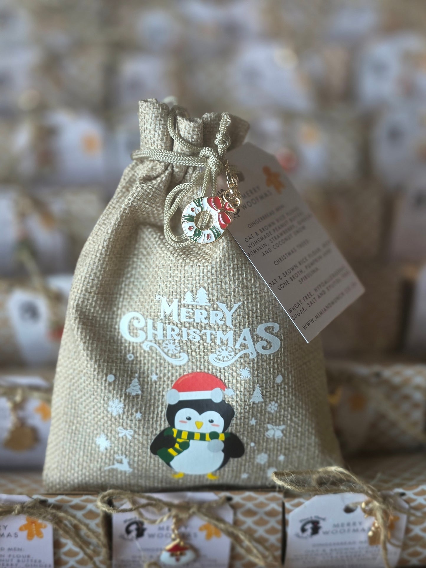 The Cutest Gingerbread Bag