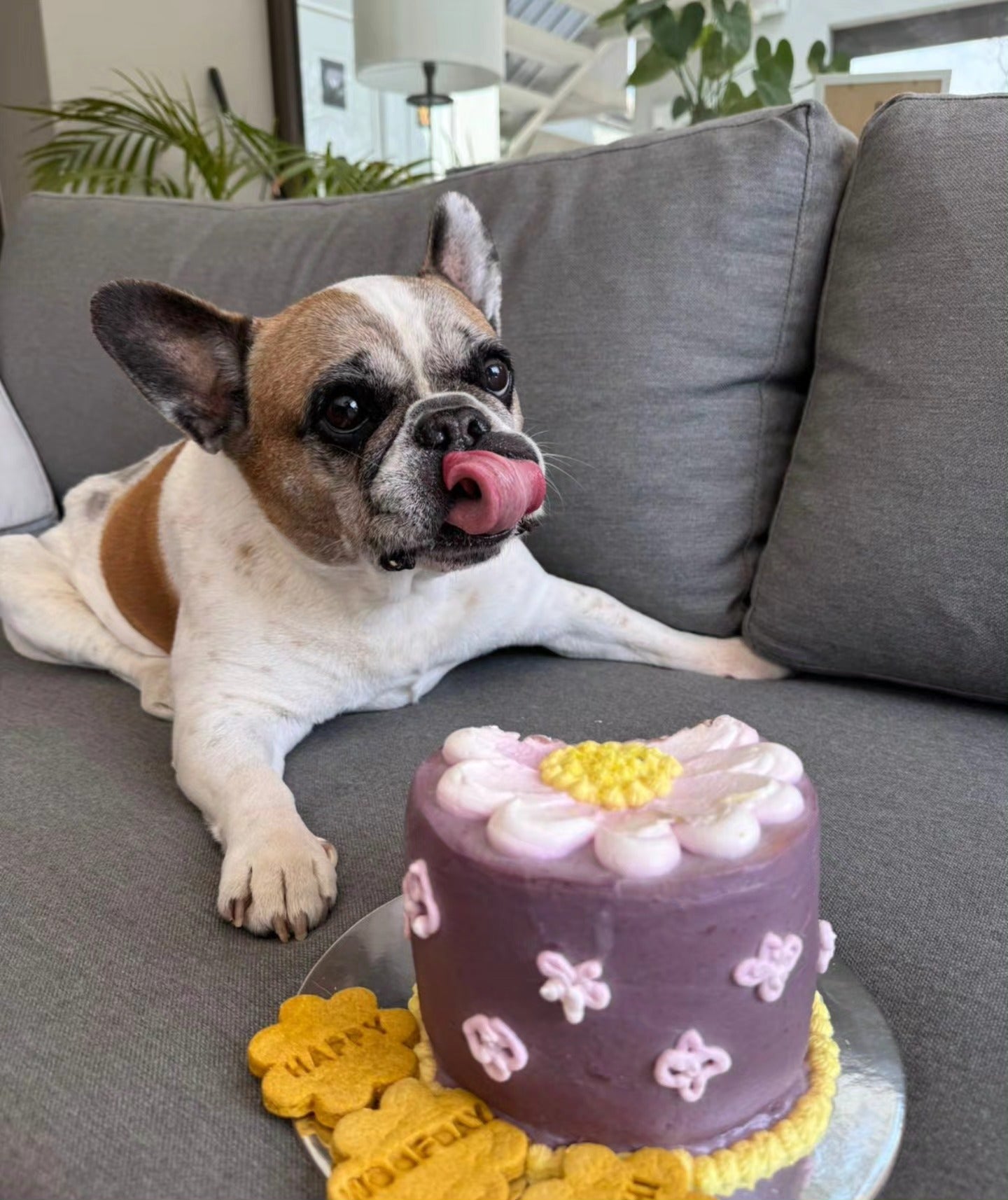 My Ray of Sunshine Cake