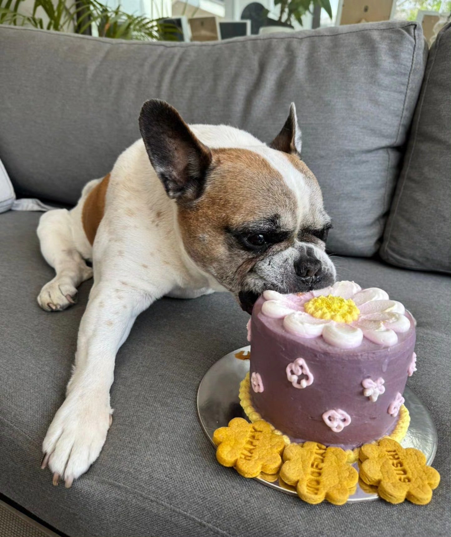 My Ray of Sunshine Cake