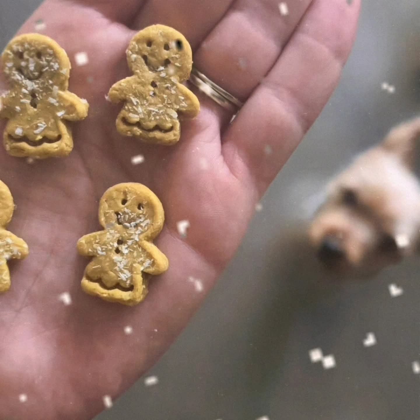 The Cutest Gingerbread Bag