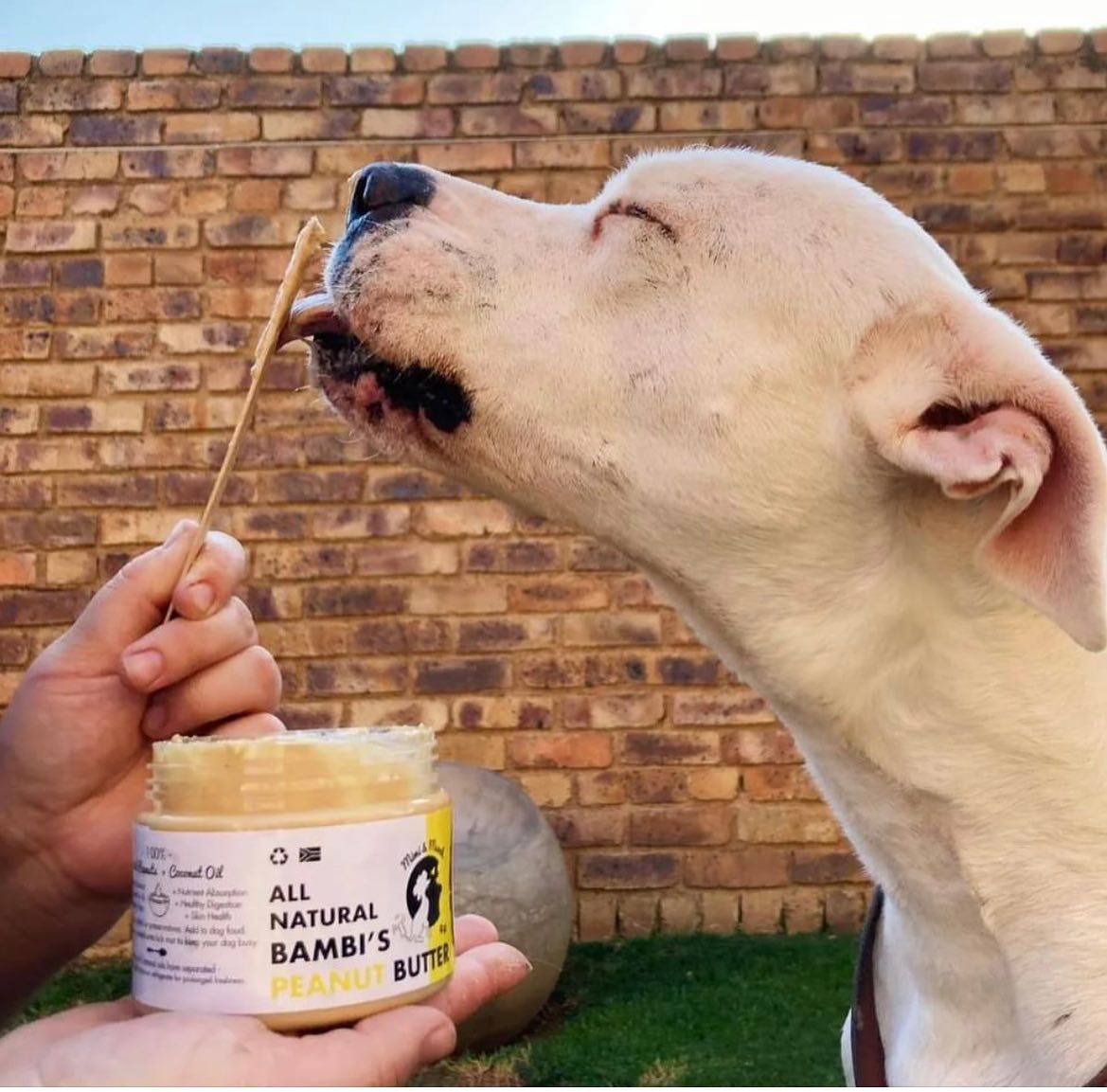 Bambis Butter Original (350g)