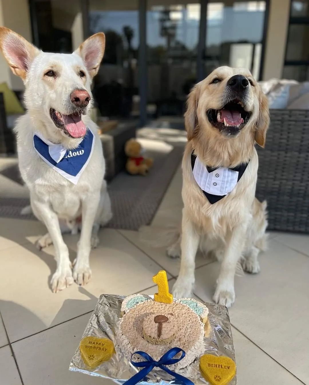 Bentley Bear Cake