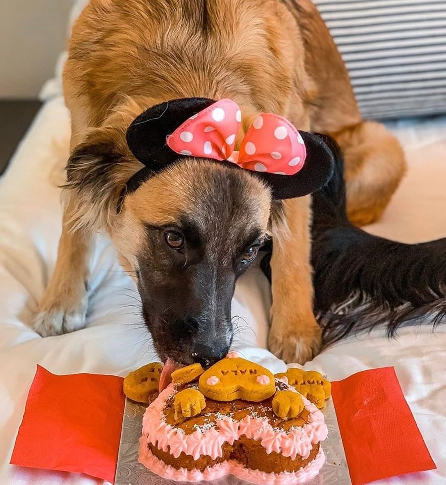 Heart Shaped Cake