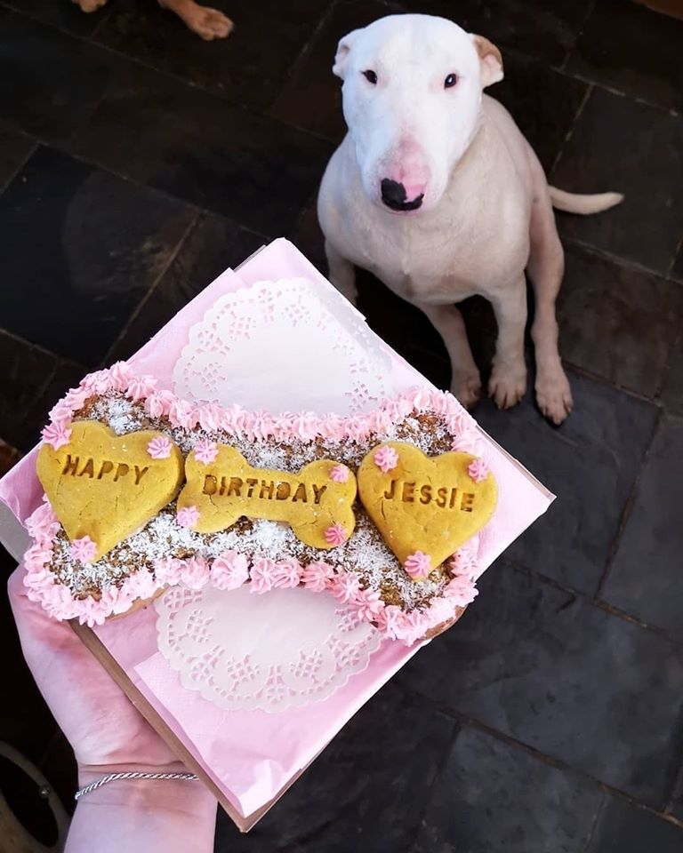 Bone Cake 23cm