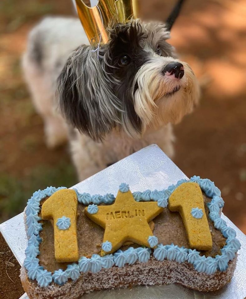 Bone Cake 23cm
