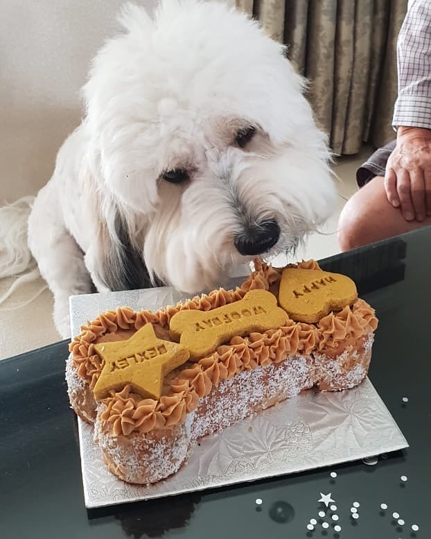 Bone Cake 23cm
