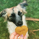 Personalised Doggie Biscuit Single