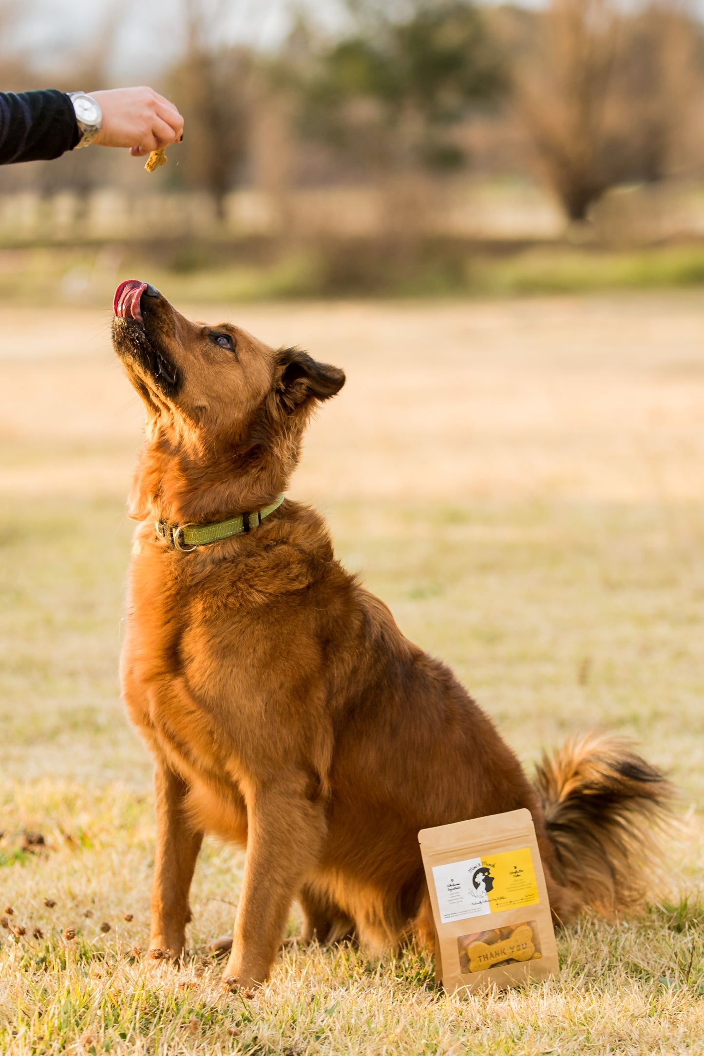 Wheat Free Woofbutter Bakes