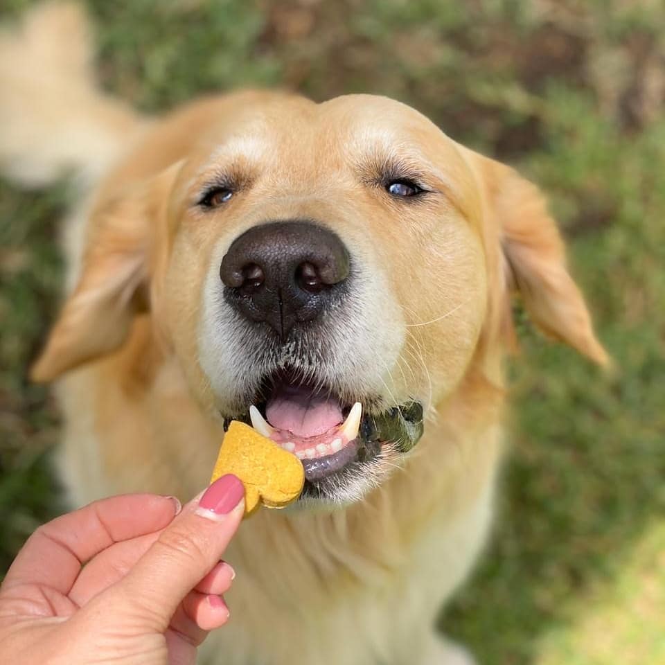 Wheat Free Woofbutter Bakes